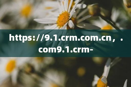 https://9.1.crm.com.cn，.com9.1.crm-
