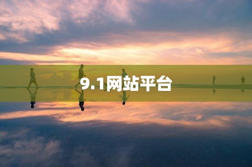 9.1网站平台