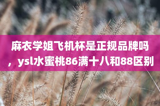 麻衣学姐飞机杯是正规品牌吗，ysl水蜜桃86满十八和88区别