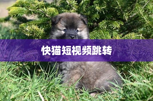 快猫短视频跳转