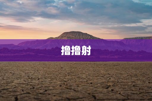 撸撸射