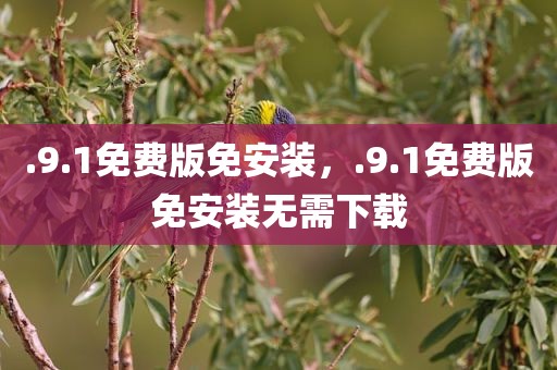 .9.1免费版免安装，.9.1免费版免安装无需下载