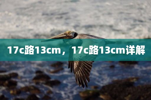 17c路13cm，17c路13cm详解