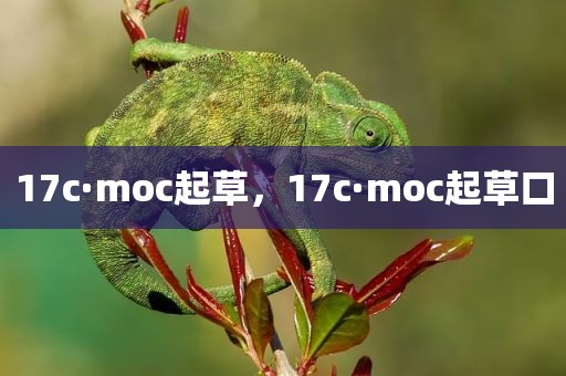 17c·moc起草，17c·moc起草口