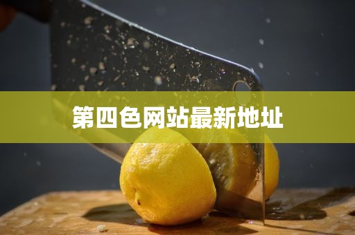 第四色网站最新地址