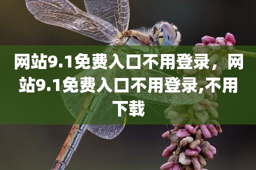 网站9.1免费入口不用登录，网站9.1免费入口不用登录,不用下载