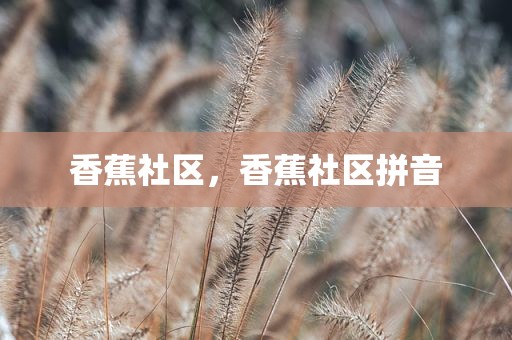香蕉社区，香蕉社区拼音