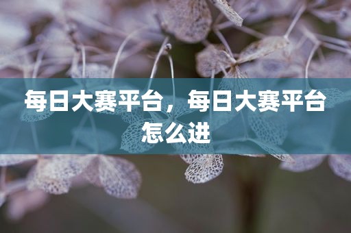 每日大赛平台，每日大赛平台怎么进