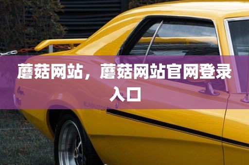蘑菇网站，蘑菇网站官网登录入口