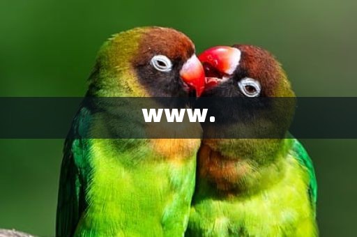 www.