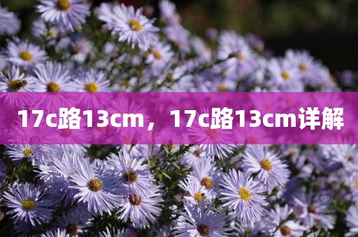 17c路13cm，17c路13cm详解