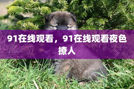 91在线观看，91在线观看夜色撩人