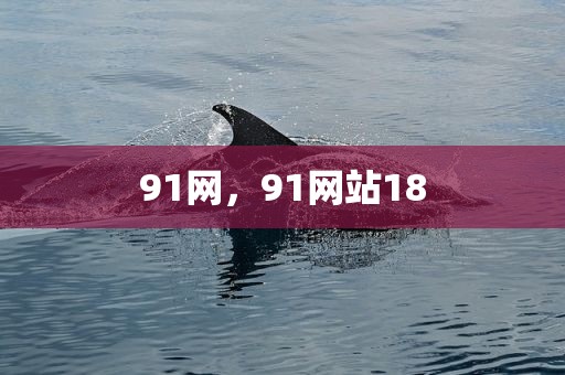 91网，91网站18