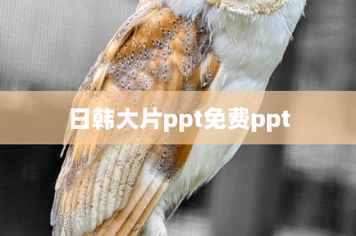 日韩大片ppt免费ppt