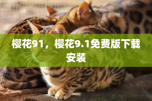 樱花91，樱花9.1免费版下载安装