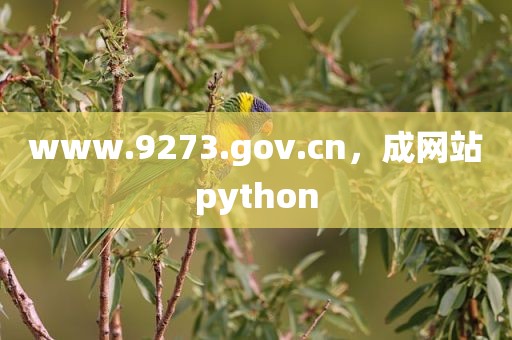 www.9273.gov.cn，成网站python
