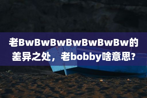 老BwBwBwBwBwBwBw的差异之处，老bobby啥意思?