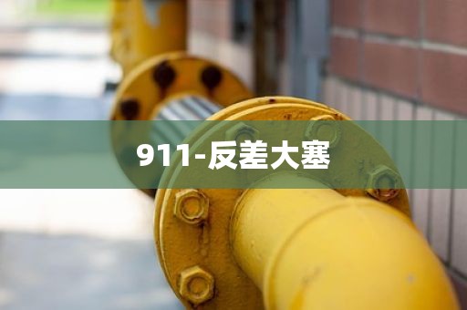 911-反差大塞