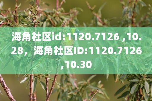 海角社区id:1120.7126 ,10.28，海角社区ID:1120.7126,10.30