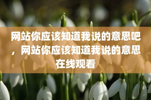 网站你应该知道我说的意思吧，网站你应该知道我说的意思在线观看