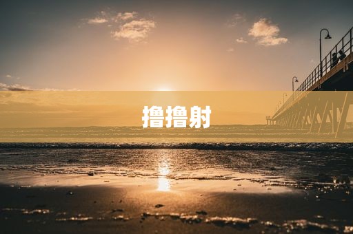 撸撸射
