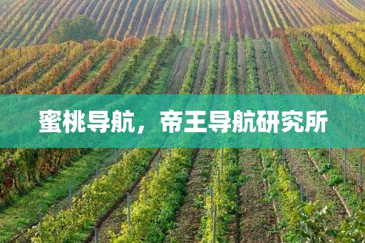 蜜桃导航，帝王导航研究所