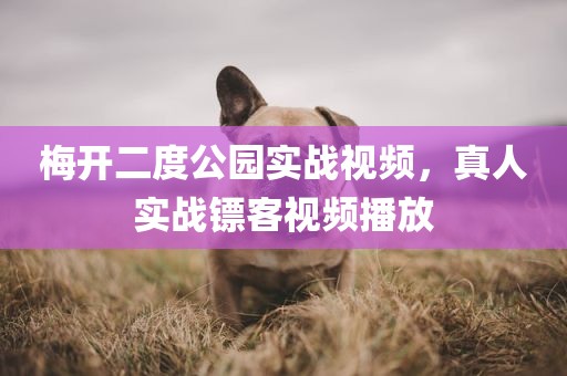 梅开二度公园实战视频，真人实战镖客视频播放