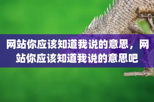 网站你应该知道我说的意思，网站你应该知道我说的意思吧