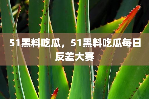 51黑料吃瓜，51黑料吃瓜每日反差大赛
