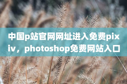 中国p站官网网址进入免费pixiv，photoshop免费网站入口