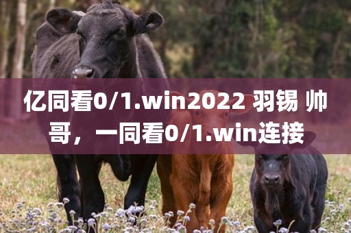 亿同看0/1.win2022 羽锡 帅哥，一同看0/1.win连接