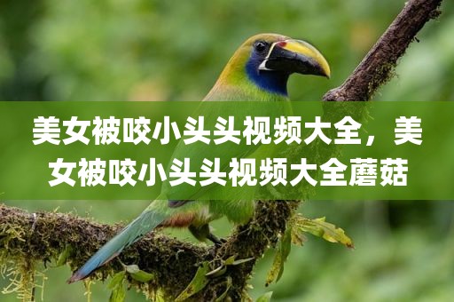 美女被咬小头头视频大全，美女被咬小头头视频大全蘑菇
