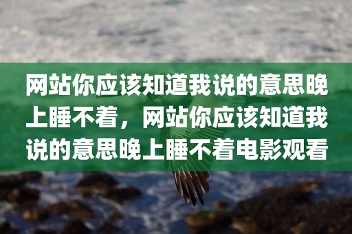 网站你应该知道我说的意思晚上睡不着，网站你应该知道我说的意思晚上睡不着电影观看