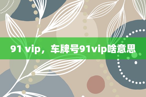 91 vip，车牌号91vip啥意思