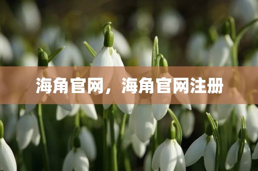 海角官网，海角官网注册
