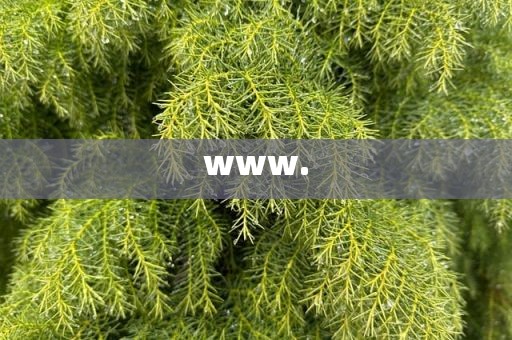 www.