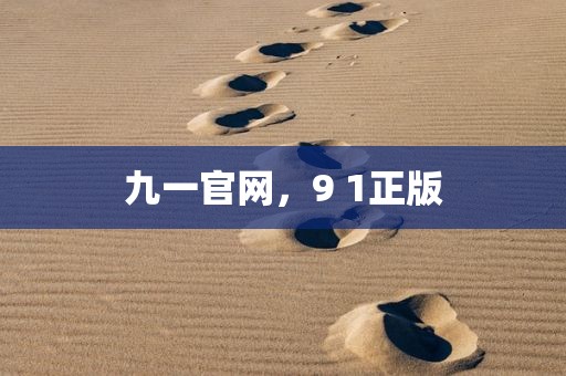 九一官网，9 1正版