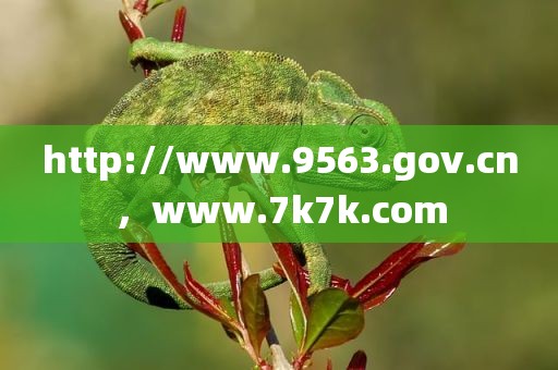http://www.9563.gov.cn，www.7k7k.com