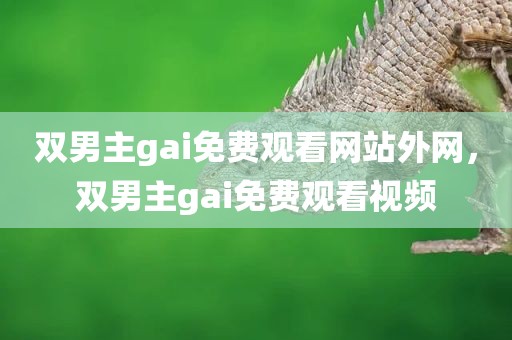 双男主gai免费观看网站外网，双男主gai免费观看视频