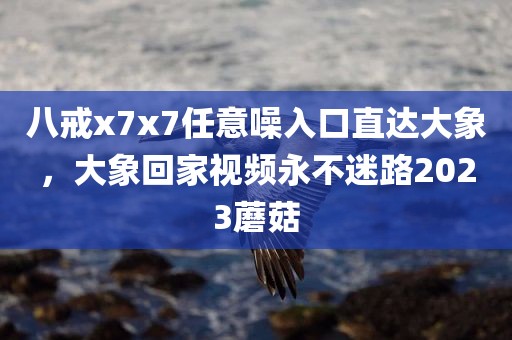 八戒x7x7任意噪入口直达大象，大象回家视频永不迷路2023蘑菇