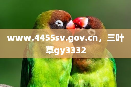 www.4455sv.gov.cn，三叶草gy3332