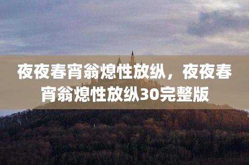 夜夜春宵翁熄性放纵，夜夜春宵翁熄性放纵30完整版