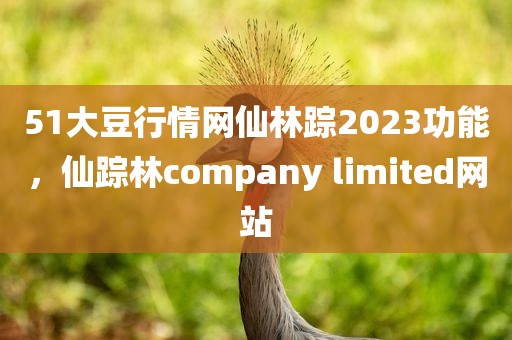 51大豆行情网仙林踪2023功能，仙踪林company limited网站