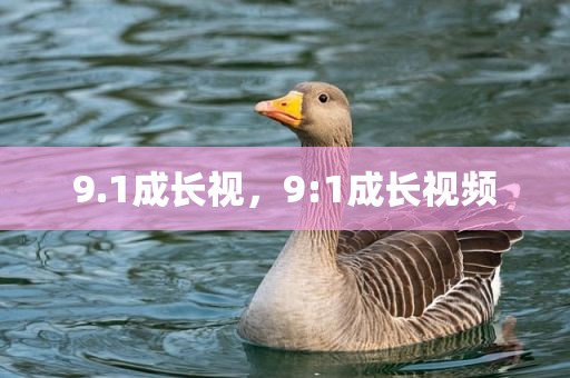 9.1成长视，9:1成长视频