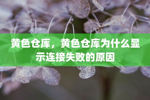 黄色仓库，黄色仓库为什么显示连接失败的原因