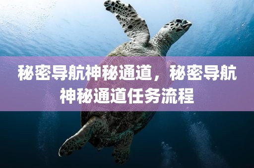 秘密导航神秘通道，秘密导航神秘通道任务流程