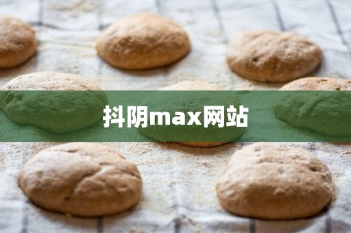 抖阴max网站