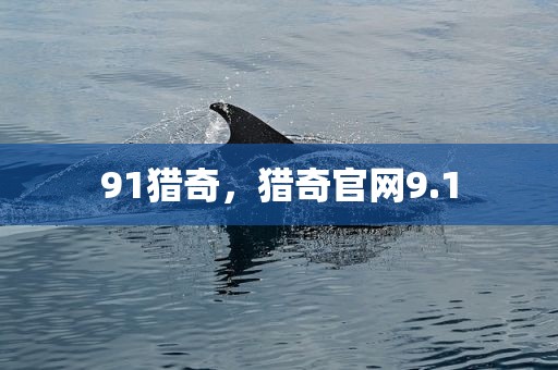 91猎奇，猎奇官网9.1
