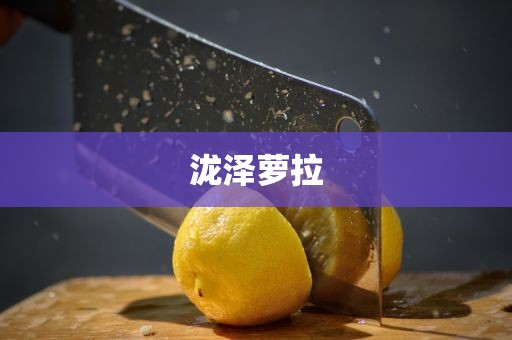 泷泽萝拉