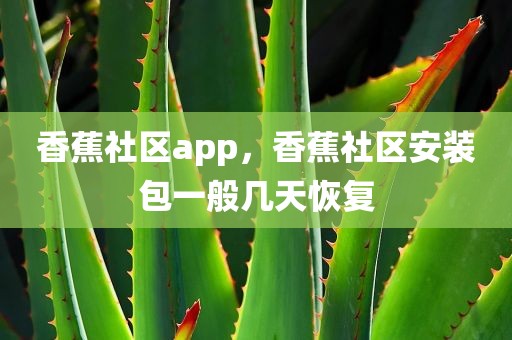 香蕉社区app，香蕉社区安装包一般几天恢复